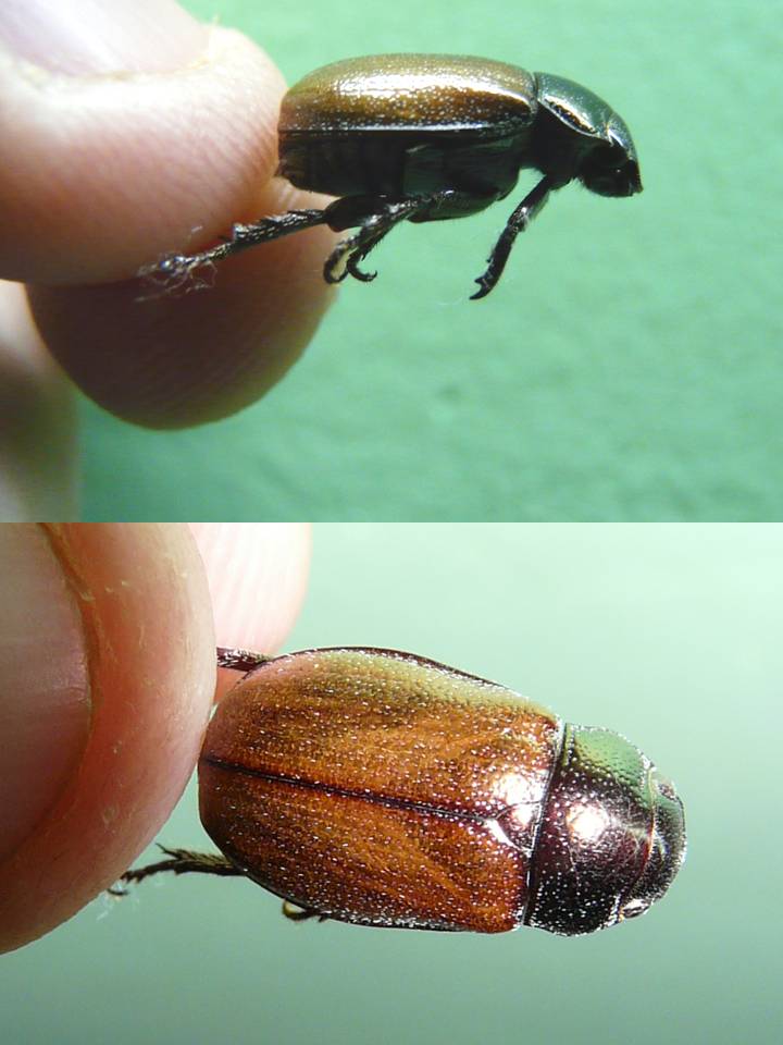 FIGURE 2 FIGURE 2